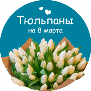 Купить тюльпаны в Мещовске